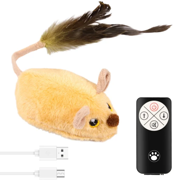 Jouets En Peluche Interactifs Pour Chatons
