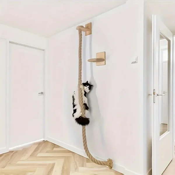 Meuble Mural Intérieur Pour Chat