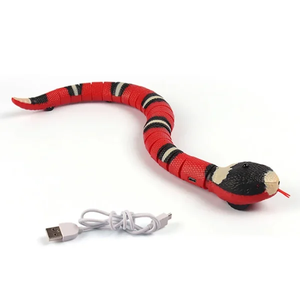 Serpent Animé Pour Chat
