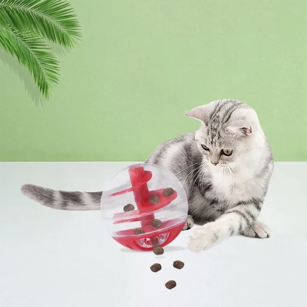 Distributeur De Nourriture En Boule Pour Chatons