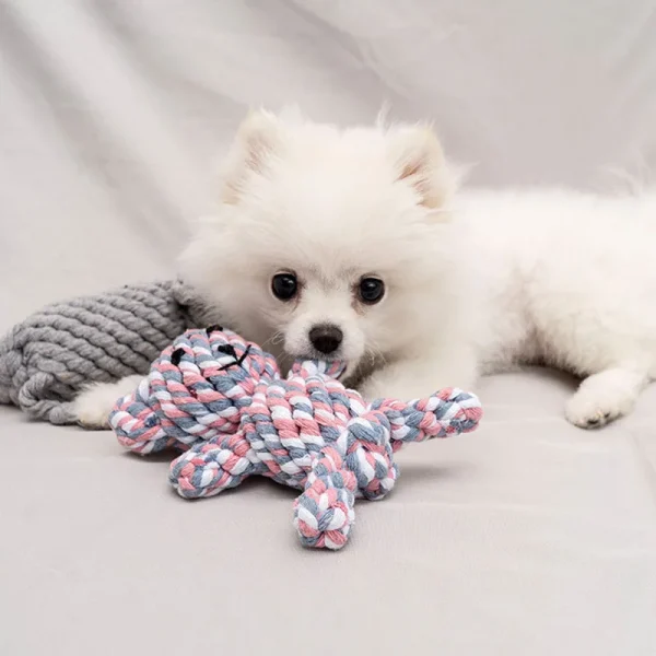 Peluche en nœud de corde pour chien