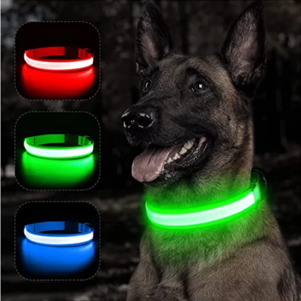 Collier lumineux à LED réglable pour chiens