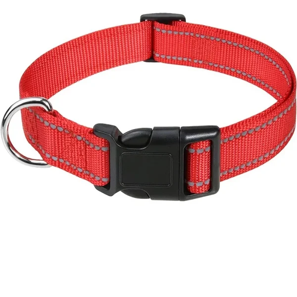 Collier pour choit et petits chiens