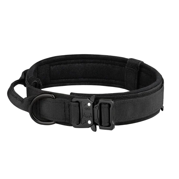Collier en nylon pour chien