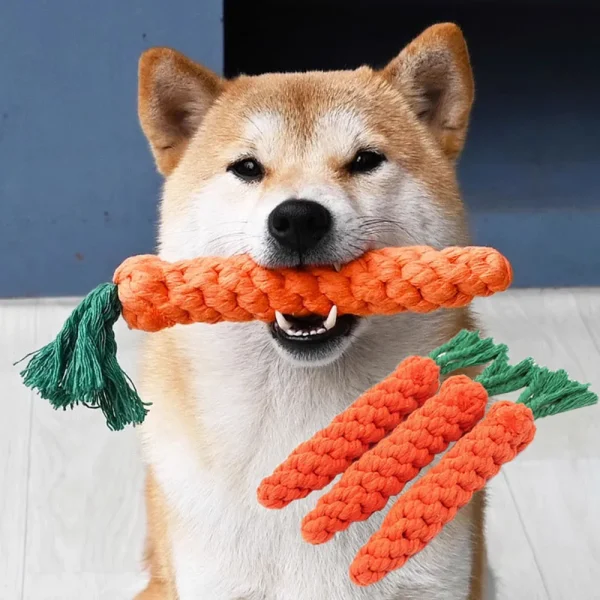 Jouet à mâcher pour chien en forme de carotte
